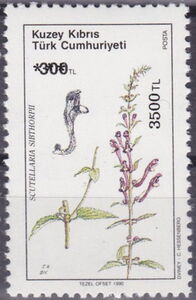 Overprint on Skullcap (Scutellaria sibthorpii)