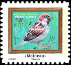 House Sparrow (Passer domesticus)