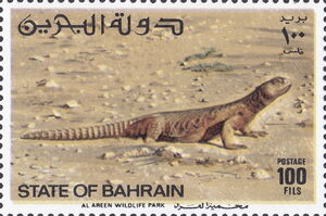 Desert Monitor (Varanus griseus)