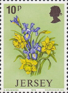 Daffodils and Iris