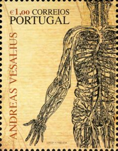 Andreas Vesalius - 500 Years - Blood Circulation