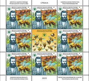 Jovan Živanović & Scientific Beekeeping in Serbia