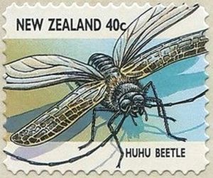 Huhu Beetle (Prionoplus reticularis)