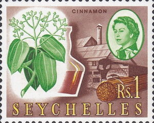 Cinnamon