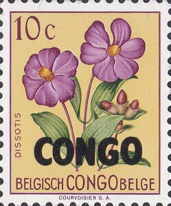 Dissotis sp. overprinted CONGO