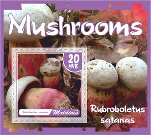 Mushrooms