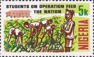 Students on Cassava Plantation