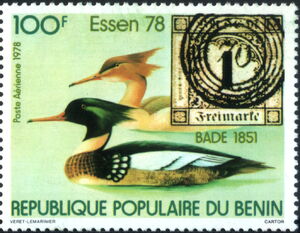 Red-breasted Merganser (Mergus serrator), Baden stamp