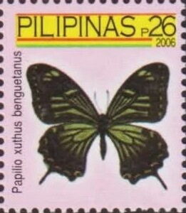 Asian Swallowtail (Papilio xuthus benguetanus)