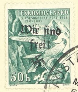 Falco peregrinus, overprinted