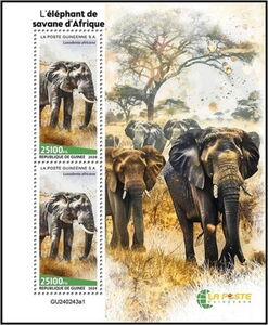 African Savanna Elephant (Loxodonta africana)