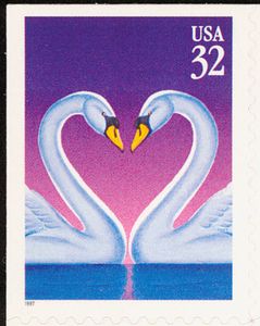 Mute Swan (Cygnus olor)