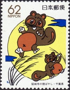 Racoon dogs (Chiba)
