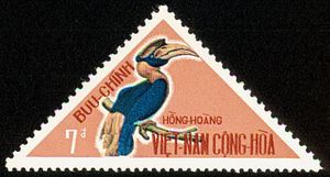 Great Hornbill (Buceros bicornis)