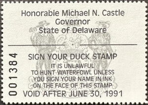 Green-winged teal (Anas carolinensis)