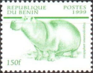 Hippopotamus (Hippopotamus amphibius)