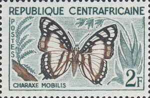 Noble White Charaxes (Charaxes nobilis)