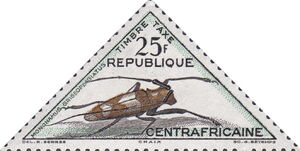 Longhorn Beetle (Monochamus griseoplagiatus)