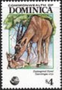 Common Eland (Taurotragus oryx)