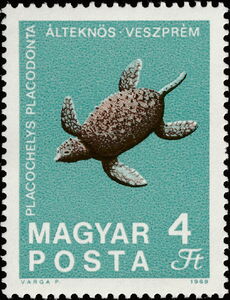 Fossilized Turtle (Placochelys placodonta) from Veszprém