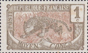 Leopard (Panthera pardus)