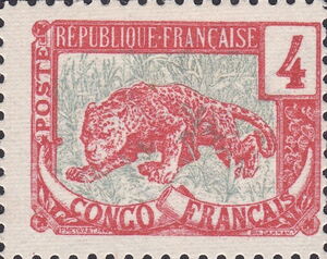 Leopard (Panthera pardus)