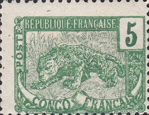 Leopard (Panthera pardus)