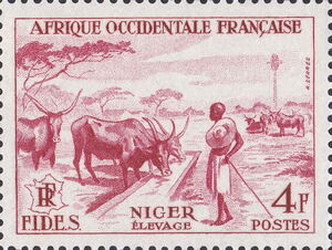 Cattle Trough (Niger)
