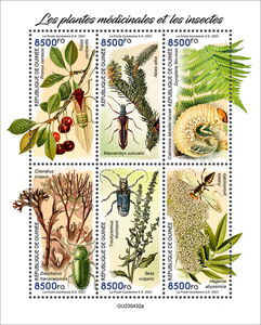 Medical Plants and Insects