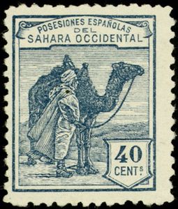 Dromedary (Camelus dromedarius), Native