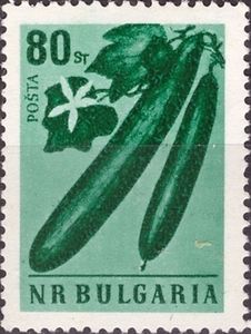 Cucumber (Cucumis sativus)