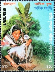 Tree Plantation Campaign