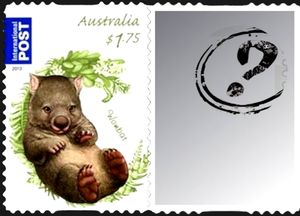 Common Wombat (Vombatus ursinus)