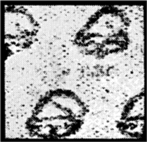 Triangle Emblem on the Ovoid - Overprint