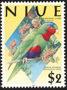 Blue-crowned Lory (Vini australis)