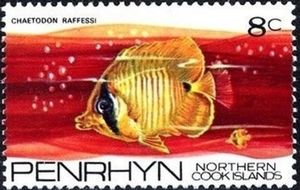 Latticed Butterflyfish (Chaetodon rafflesi)