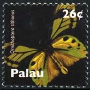 Tithonus Birdwing (Ornithoptera tithonus)