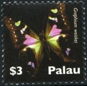 Purple Spotted Swallowtail (Graphium weiskei)