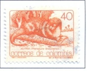 Giant Otter (Pteronura brasilensis)