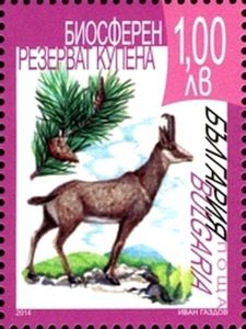 Balkan Chamois (Rupicapra rupicapra balcanica), Biosphere Na