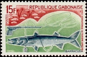 Great Barracuda (Sphyraena barracuda)