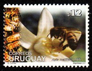 Bee on flower