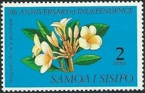 Frangipani (Plumeria acuminata)