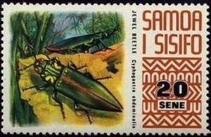 Jewel Beetle (Cyphogastra abdominalis)