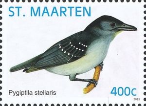 Spot-winged Antshrike (Pygiptila stellaris)
