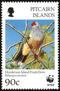 Henderson Island Fruit-Dove (Ptilinopus insularis)