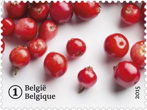 Forgotten fruit: Cranberry