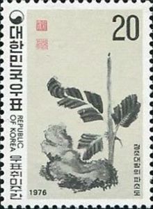 Leaves and stones by Cheong Ju