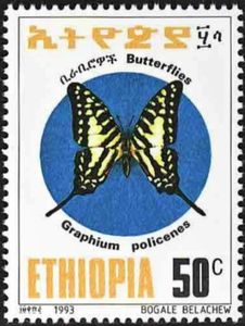 Common Swordtail (Graphium policenes)