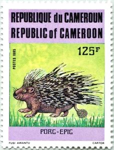 Crested Porcupine (Hystrix cristata)
